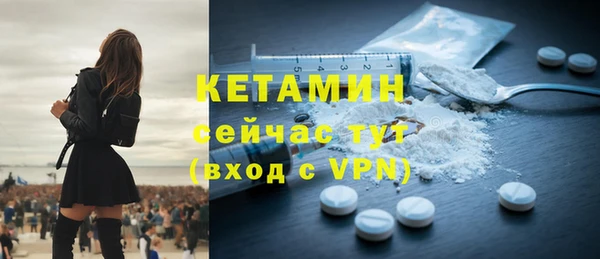 шишки Богородицк