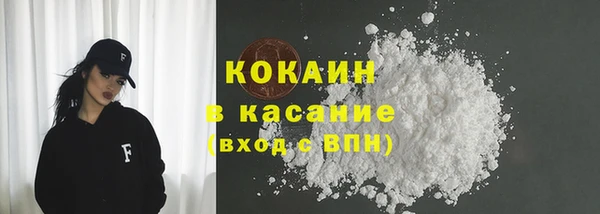 шишки Богородицк