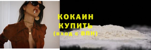 шишки Богородицк