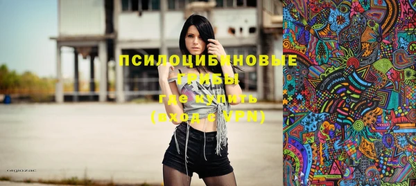 шишки Богородицк