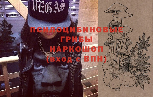 гашиш Богданович