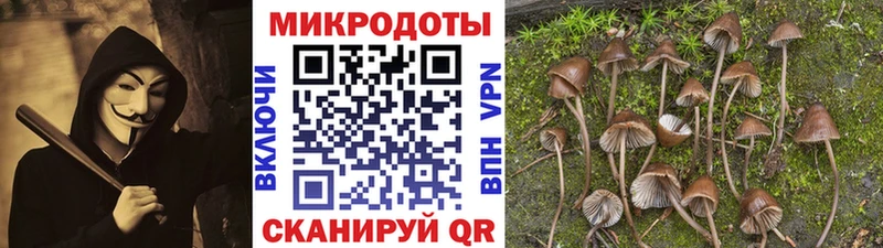 Галлюциногенные грибы мухоморы  Светлый 
